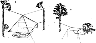 Схема установки тента в лесу