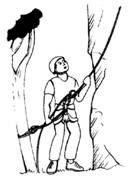 Расположение и самостраховка страхующего