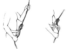 Положение рук во время страховки узлом УИАА