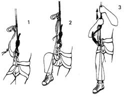 Подъём на прусике