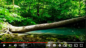 Зилим. Озеро