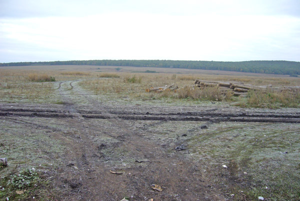 деревня Янурусово