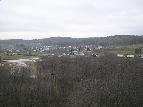 встретились два лесовоза