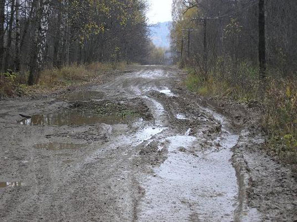 встретились два лесовоза