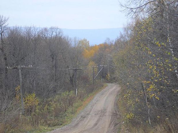 встретились два лесовоза