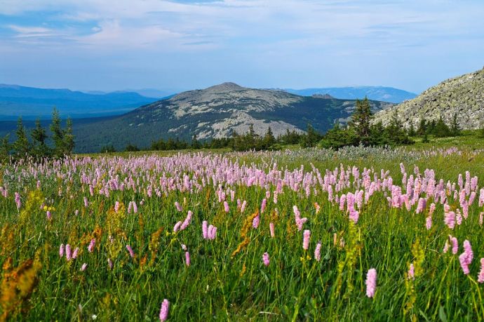 Зюраткуль (национальный парк)