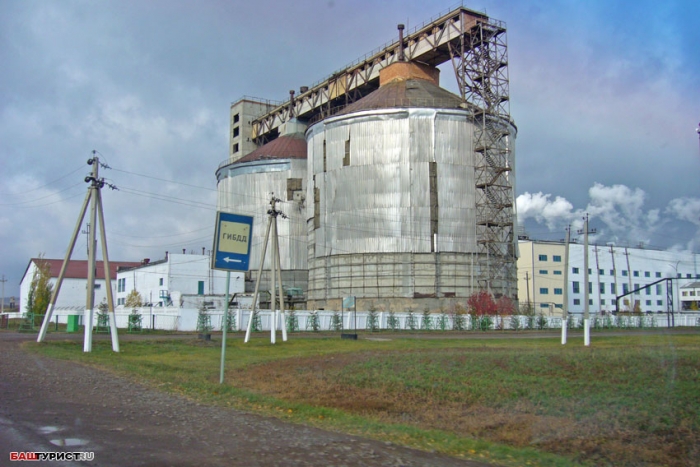 Раевский. Раевка. Альшеевский района