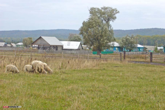 Деревня Тугай (Гафурийский район)