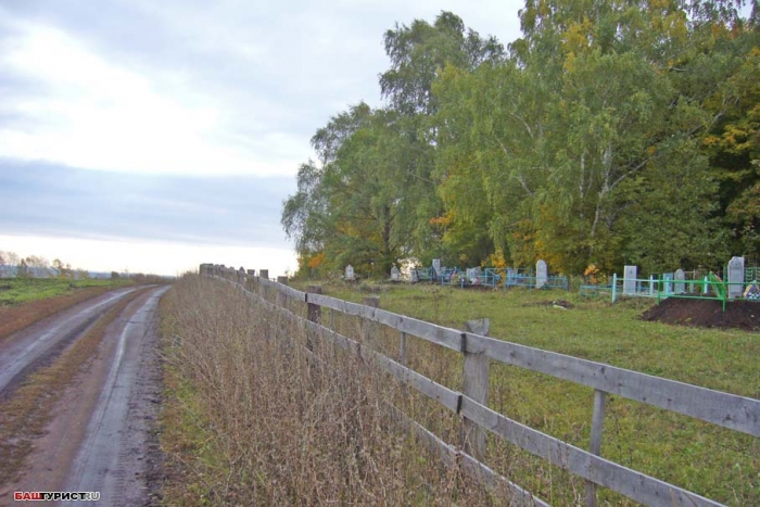 Деревня Тугай (Гафурийский район)