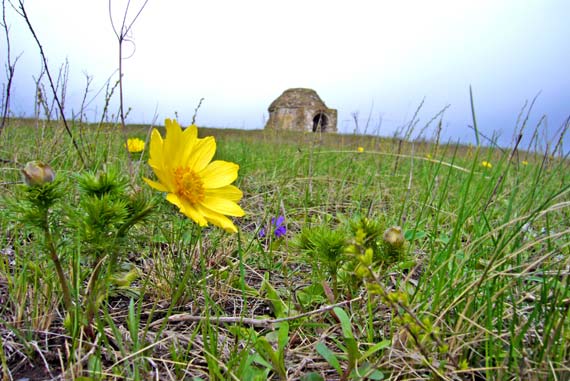 Мавзолей Тура-хана (Чишминский район)