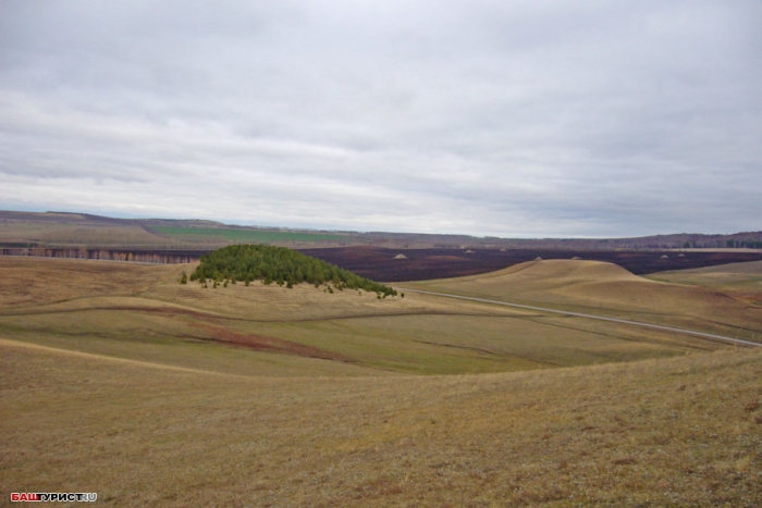 Горы-останцы. Сусактау. Долина реки Дема