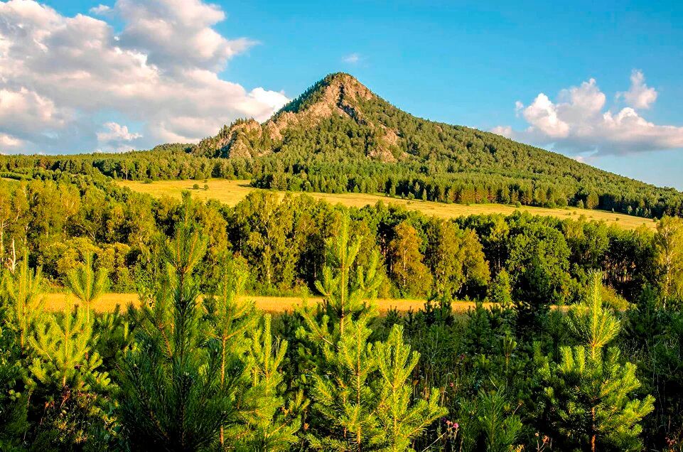 Арвякрязь (Арвяк-Рязь)