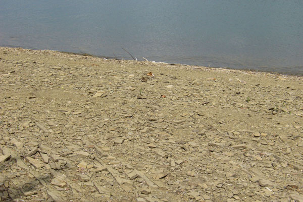 Нугушское водохранилище