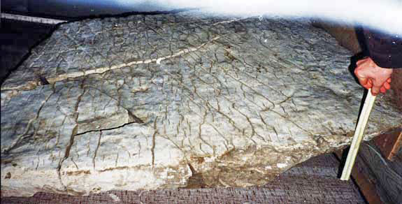 Чондарская находка Дашкин камень