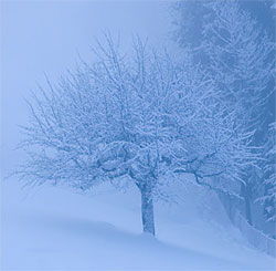 Фотографирование в горных походах